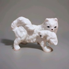 Miniature white bone for sale Miniature white bone for sale  DUDLEY