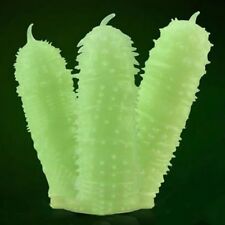 Dildo fluorescente manicotto usato  Torricella del Pizzo