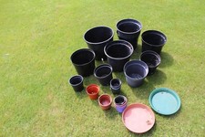 plant 20 pot for sale plant 20 pot for sale SUNDERLAND
