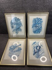 Framed bird art for sale  NEWCASTLE