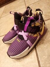 Kid nike lebron for sale  Charlotte