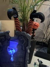 spooky geldborse gebraucht kaufen spooky geldborse gebraucht kaufen Herten