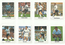 Tottenham hotspur sun for sale  BEVERLEY