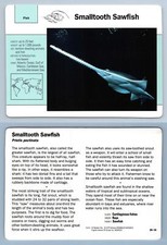 Smalltooth sawfish 24.14 for sale  SLEAFORD