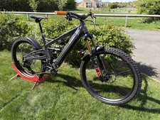 Orange phase fox for sale  NEWCASTLE UPON TYNE