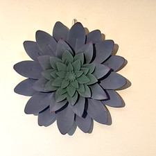 Metal succulent dimensional for sale  Medina
