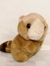 Peluche castoro beaver usato  Cirie