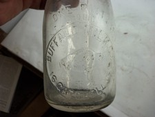 Buffalo milk buffalo for sale  Ontario