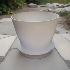 Plastic indoor plant for sale  BECKENHAM