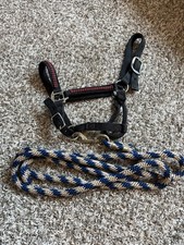 Nylon horse halter for sale  Ridgefield