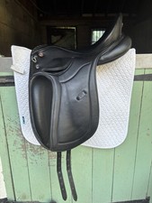 Kieffer dressage pief for sale  BRISTOL