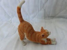 sherratt simpson cat for sale sherratt simpson cat for sale MANSFIELD