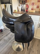 Amerigo pinerola dressage for sale Amerigo pinerola dressage for sale  ROMSEY