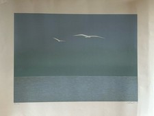 Walter lazzaro usato  Nettuno