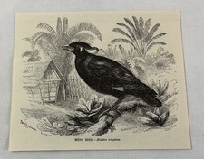 1885 book engraving for sale  Wilmington