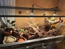 Exo terra terrarium gebraucht kaufen  Leisnig