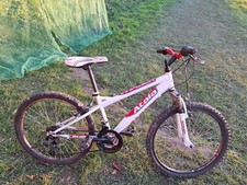 Bicicletta ragazzo ragazza usato  Oggiono