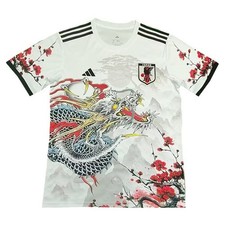 Maglia calcio japan usato  Italia