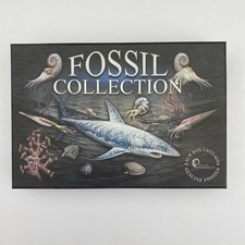 Fossil collection british for sale  FARNHAM