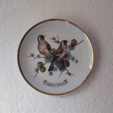 Wandteller sammelteller vogelp gebraucht kaufen  Hameln