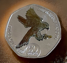 peregrine falcon for sale peregrine falcon for sale HYTHE