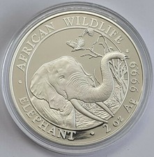 Somalia elefant 2018 gebraucht kaufen  Gersfeld