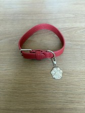 Collier chien d'occasion  Menton