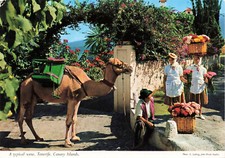 Spanien teneriffa ansichtskart gebraucht kaufen  Lindau (Bodensee)