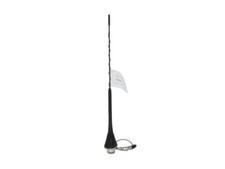 Antenna autoradio fiat usato  Licata