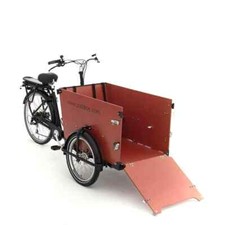 Cargo bike elettrica usato  Torino