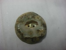 Ancien bouton nacre d'occasion  La Rochelle
