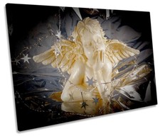 Angel wings barb for sale  UK