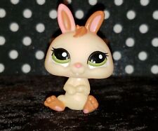 Littlest pet shop for sale  Surprise