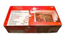 Tiella lighting head for sale  Corona