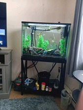 Gallon fish tank for sale  Taunton
