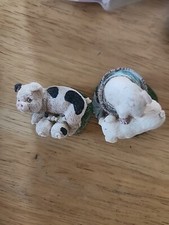 Vtn baby pigs for sale  Pawtucket