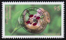 3563 junge wildtiere gebraucht kaufen 3563 junge wildtiere gebraucht kaufen  Schwalmtal