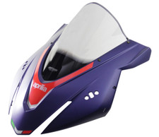 Cupolino racing fume usato  Milano