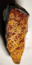 Orbicular poppy jasper. for sale  Powell Butte