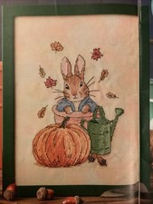 Beatrix potter pumpkin for sale  LEICESTER