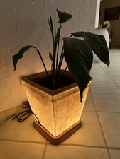 Blumentopf beleuchtet pflanze gebraucht kaufen  Frankenthal