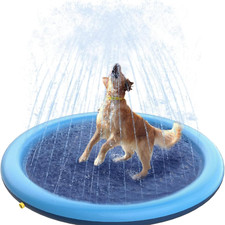 Piscina per cani usato  Roma
