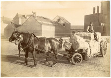 Anvers transport foin d'occasion  Pagny-sur-Moselle