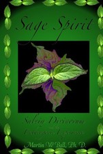 salvia divinorum for sale salvia divinorum for sale USA