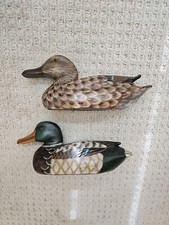 Mallard duck full for sale  Fernandina Beach