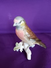 Porcelaine saxe oiseau d'occasion  Gueugnon