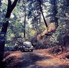 Vintage 1960 Super Slide VW Volkswagen Fusca Estrada Suja Através de Árvores comprar usado  Enviando para Brazil