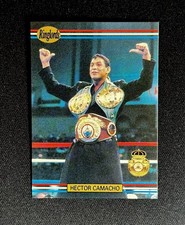 1991 ringlords hector for sale  Middleton