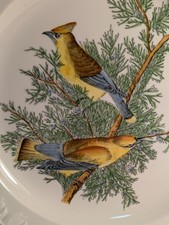 John james audubon for sale  Jacksonville