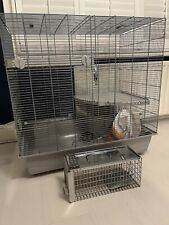 Pets home rat for sale  STRATFORD-UPON-AVON